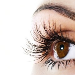 Luxurious Lashes
